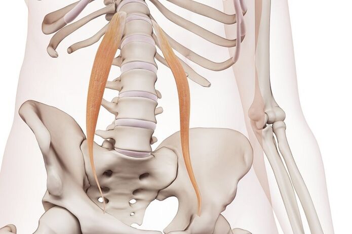 Spinal osteochondrose in the lumbar area The essence of the disease